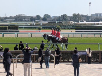 お仕事を終えて本馬場を後にする中山競馬場の誘導馬の皆さん